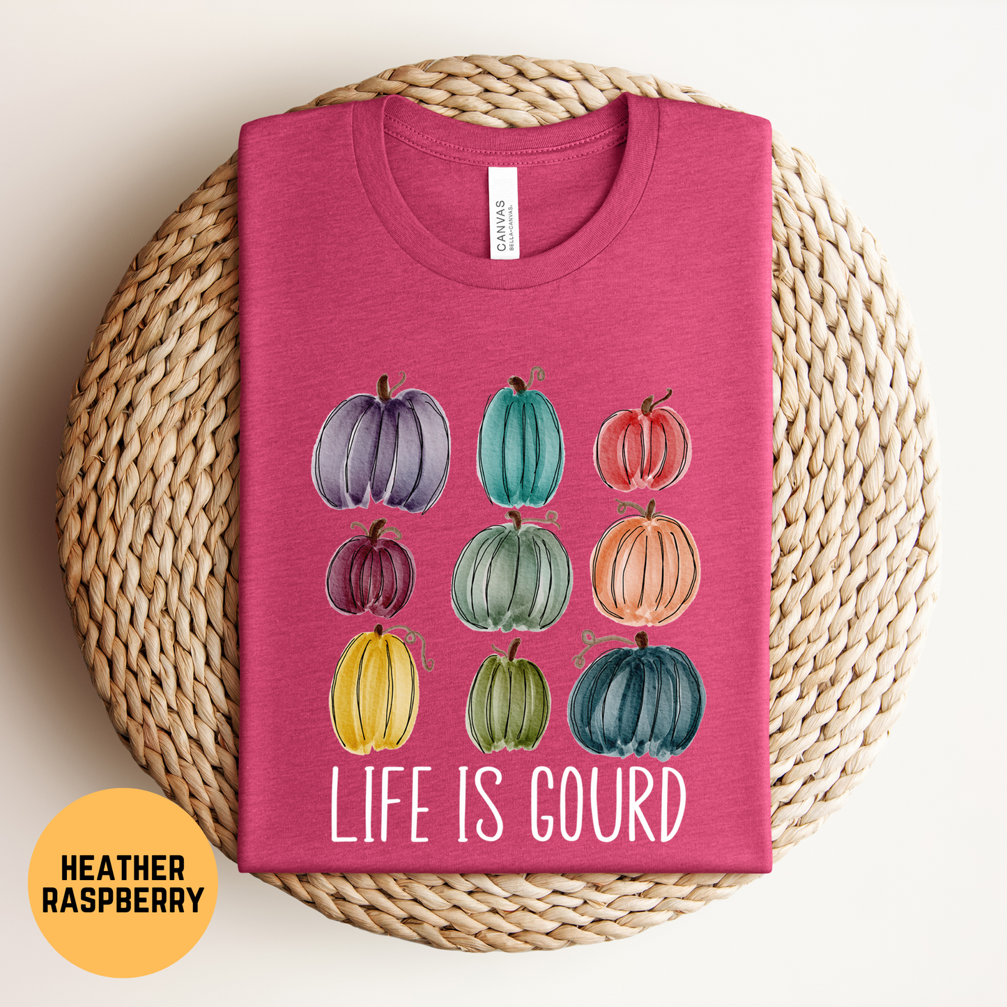 Life is Gourd T-Shirt, Punny Fall Shirt, Cute Pumpkin Patch Tee